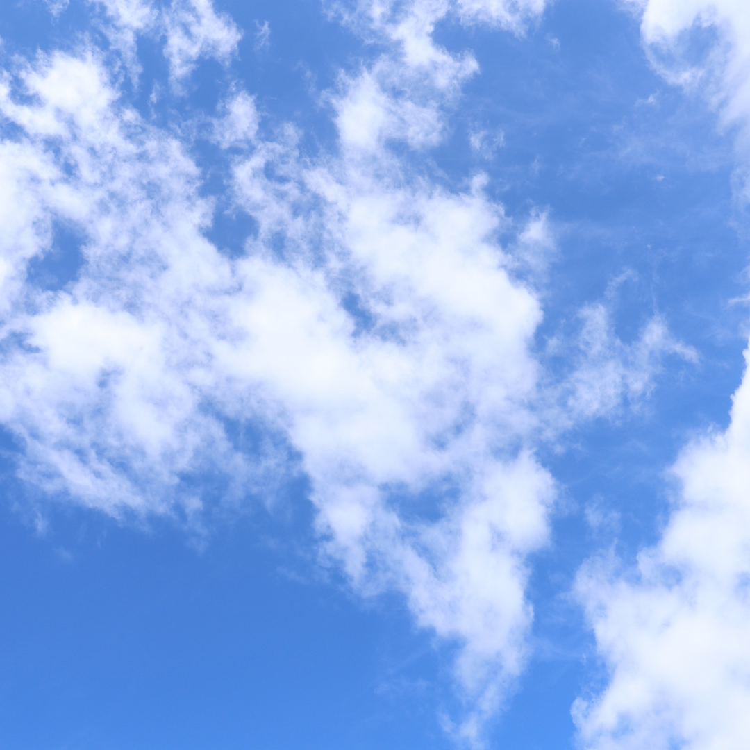 Pure & Fresh Scented Wax Melts